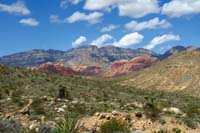 31-zoom_view_looking_back_to_Calico_Basin_area