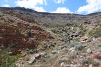 32-pretty_scenery_at_base_of_Blue_Diamond_Hill