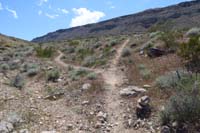 36-walked_down_trail_couple_hundred_feet_to_split,then_turned_around