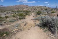 37-returned_to_The_Bronc-Brohemian_Rhapsody_Loop_Access_TJ_looking_north,went_to_right