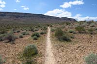 39-looking_back_to_west_towards_The_Bronc_Trail_I_came_from