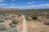 40-continuing_east_along_The_Bronc_Trail