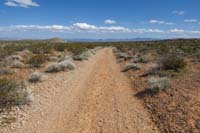 44-looking_east_to_Bear's_Best_access_for_Brokeback_Mountain_Trail_in_one_mile