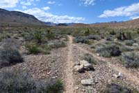 50-alternate_connector_back_to_The_Bronc_Trail_to_R_and_ahead