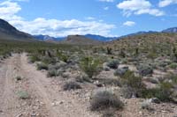 56-view_along_dirt_road_to_trail_to_east_to_check_out_someday,Brokeback_to_Bronc