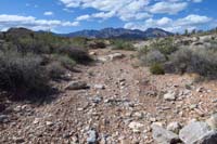 58-rough_wash_like_dirt_road-although_still_see_fresh_mountain_bike_tracks