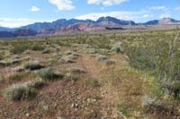 74-following_the_faint_usage_trail