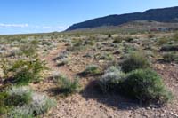 76-Fire_Station_Hill_WP4-usage_trail_with_BLM_Fire_Station_in_distance