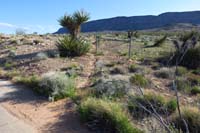 79-looking_back_from_road_to_fence_leading_to_control_fence_for_hiking_access