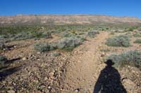 011-lots_of_small_rocks_on_level_ground,meant_only_for_mountain_bikes,not_smooth_for_hikers