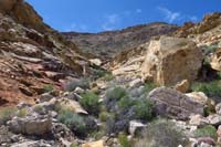 083-scenery_along_the_trail