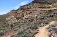 086-trail_continues-very_pretty,I'm_quite_impressed