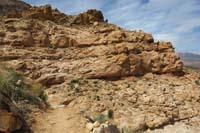099-looking_back_to_scenery_along_the_trail