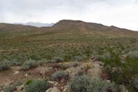 159-Brokeback_Mtn_Trail_down_there,will_have_to_come_back_another_day_to_finish_it_out