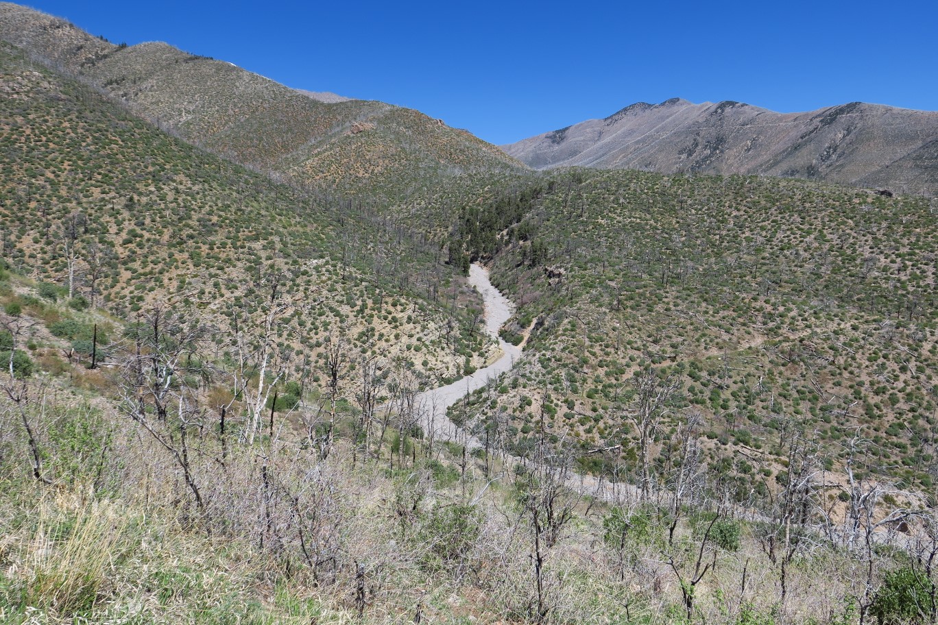 38-scenery_along_the_trail