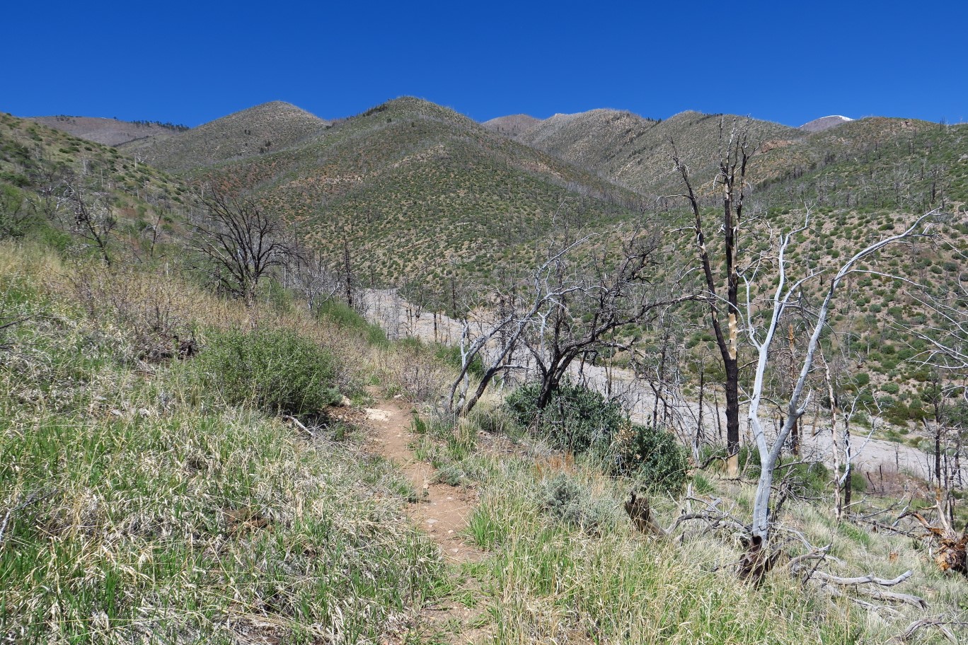 40-approaching_a_flood_wash