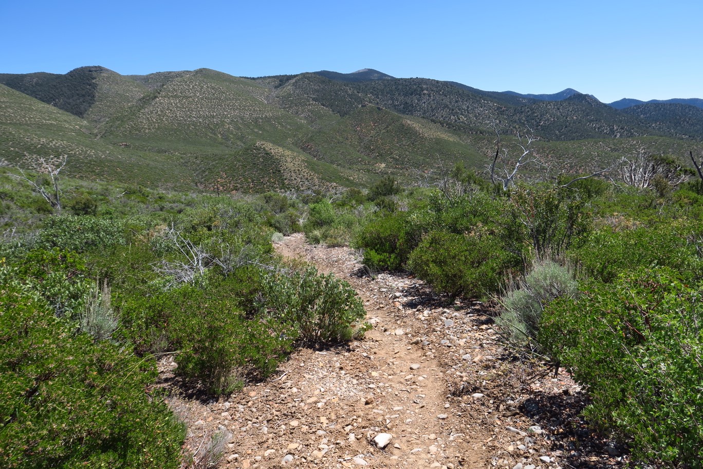 47-scenery_along_the_trail
