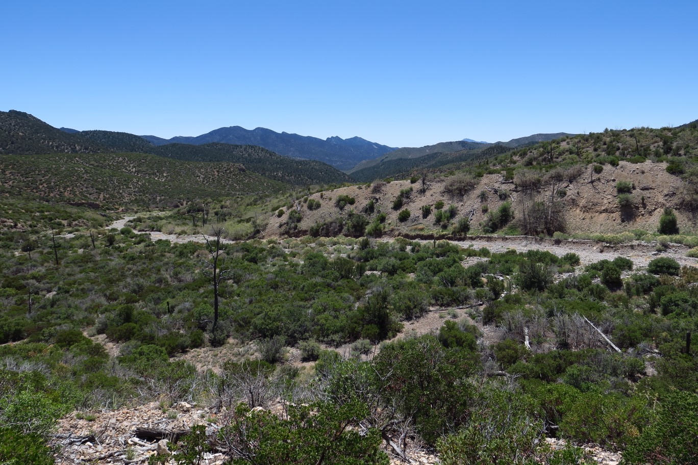 48-scenery_along_the_trail