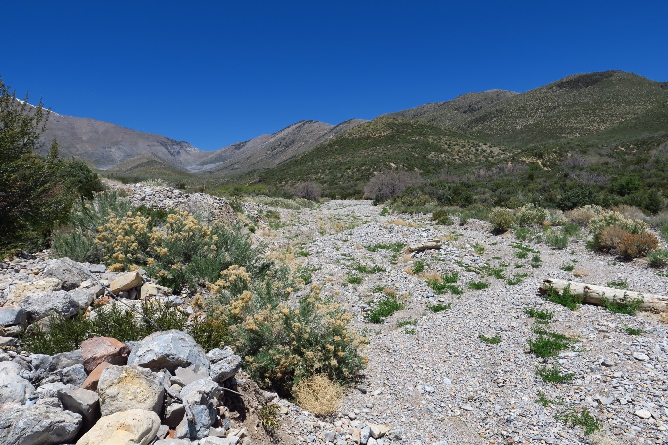 61-looking_up_the_wash