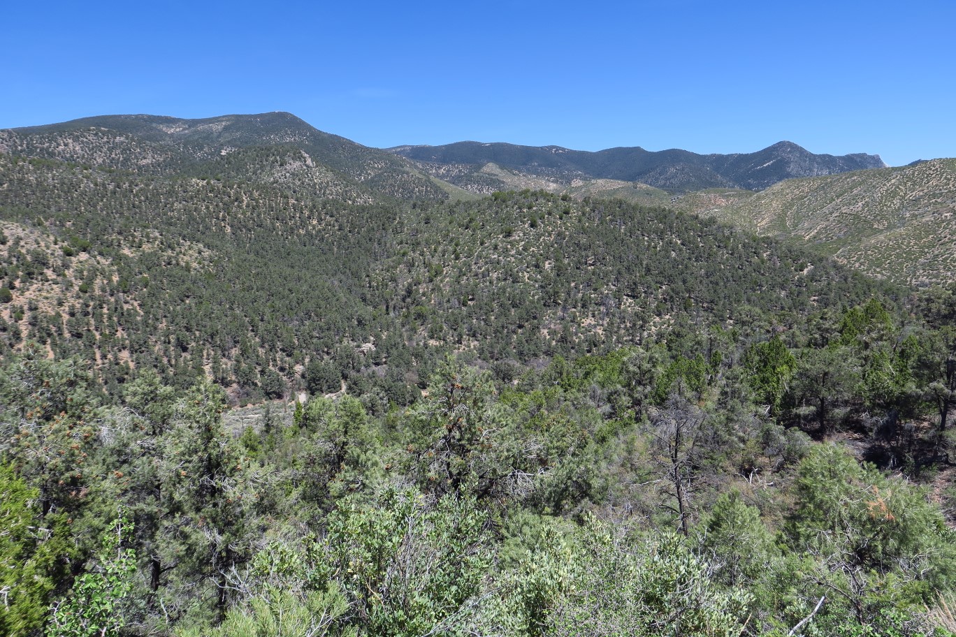 76-scenery_along_the_trail