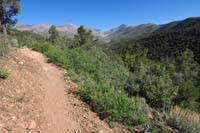04-scenic_view_along_the_way
