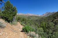 09-scenic_view_along_the_way