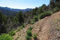 12-this_portion_of_the_trail_is_fairly_steep