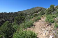 14-scenic_view_along_the_way