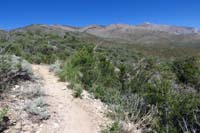 15-scenic_view_along_the_way