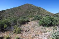 20-near_the_'overlook',the_unmaintained_trail_is_hard_to_follow_if_exists_at_all