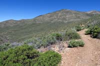 23-scenic_view_along_the_way