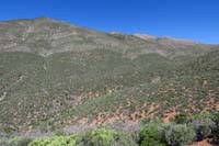 26-scenic_view_along_the_way