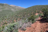 27-scenic_view_along_the_way