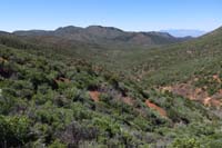 28-scenic_view_along_the_way
