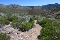 32-scenery_along_the_trail
