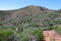 33-scenery_along_the_trail