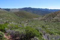34-scenery_along_the_trail