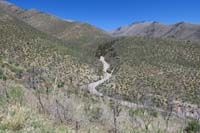38-scenery_along_the_trail