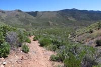 39-scenery_along_the_trail