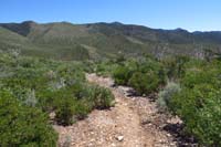 47-scenery_along_the_trail