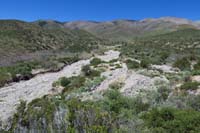 49-another_wash_to_cross-looking_upstream