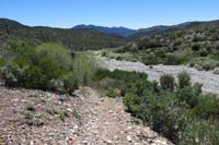50-another_wash_to_cross-looking_downstream