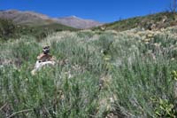 55-looking_back_to_overgrown_trail_hard_to_follow,look_for_cairns_and_worn_path