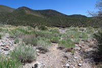 58-Schaefer_Spring-Griffith_Shadow_N_TJ-going_that_way_next_to_E