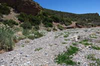 63-instead_continue_across_wash_to_continue_trail