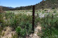 69-Schaefer_Spring_S_wash_waypoints-trail_marker_in_middle_of_wash,continue_to_cairn_ahead