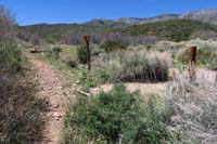73-Lovell_Canyon-Schaefer_Spring_E_TJ-came_from_R,going_behind,didn't_connect_due_to_foot_blisters