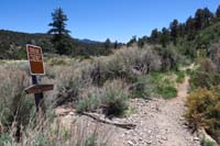 74-only_Please_Stay_on_Trail_sign_I've_seen_the_entire_hike