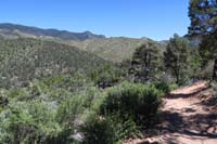 75-scenery_along_the_trail-heading_back_to_trailhead_with_foot_blister
