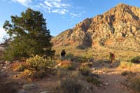 06-turn_left_at_first_pinyon_seen_on_trail-follow_usage_trail_and_cairns